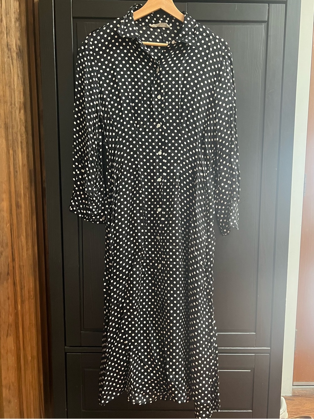 Everlane The Hammered Satin Shirt Midi Dress Polk Dot